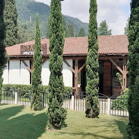 Sophia Apartman New Athos Kültér fotó