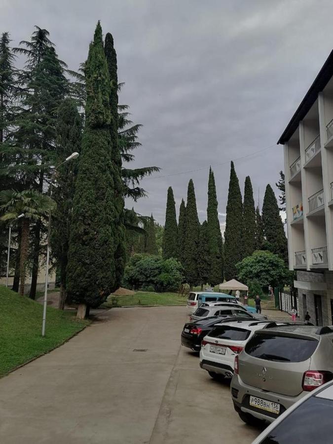 Sophia Apartman New Athos Kültér fotó
